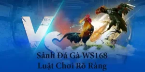 Chinh Phục Đá Gà WS168 Tại SV388 Như Một Chuyên Gia
