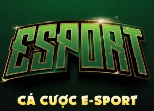 Hướng Dẫn Cá Cược Thể Thao Điện Tử SV388 Từ A Đến Z Cho Fan Esport